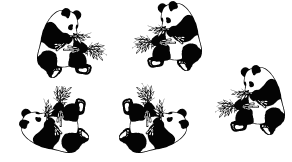 Pandas